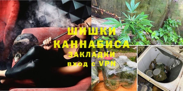 шишки Алексин