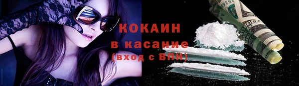 шишки Алексин