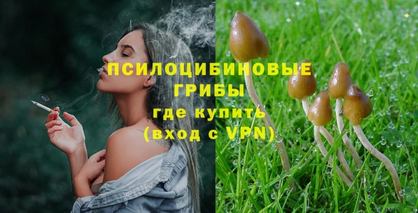 гашик Алексеевка
