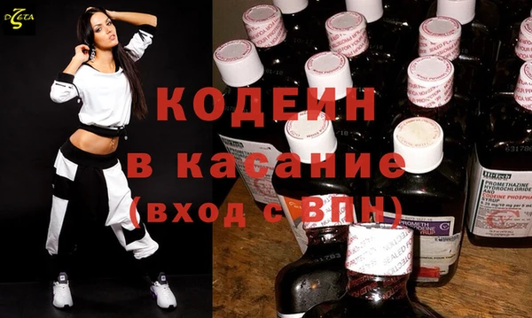 шишки Алексин