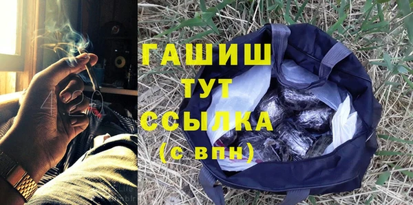 гашик Алексеевка