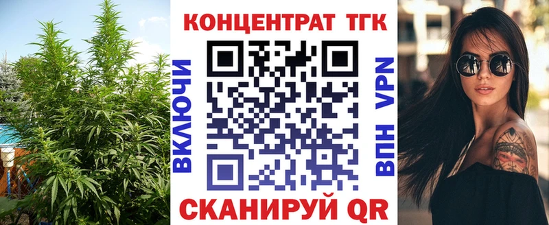 даркнет какой сайт  магазин продажи   Андреаполь  ТГК THC oil 