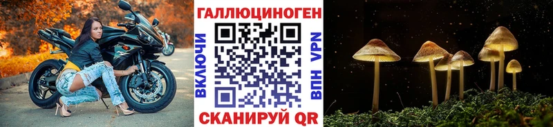 Псилоцибиновые грибы прущие грибы  KRAKEN онион  Андреаполь 